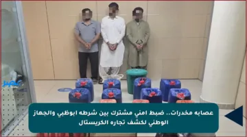 عصابة مخدرات.. ضبط أمني مشترك بين شرطة أبوظبي والجهاز الوطني لكشف تجارة الكريستال